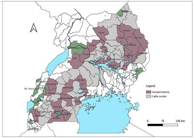 Analysis of patterns of livestock movements in the Cattle Corridor of Uganda for risk-based surveillance of infectious diseases